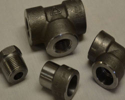 Carbon & Alloy Steel Forged fitting